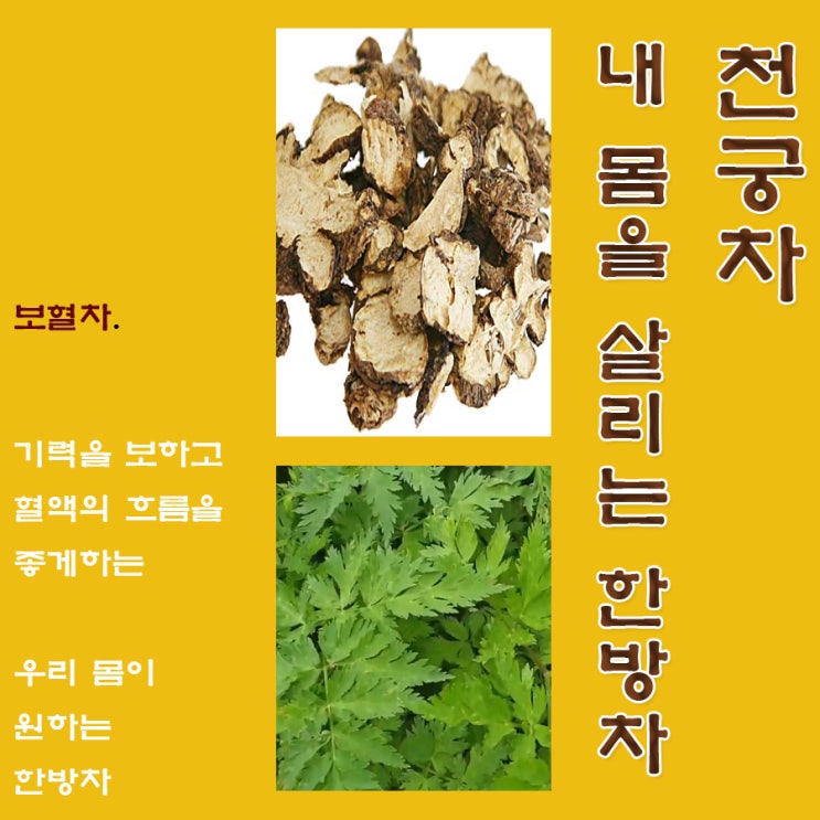  봄에 좋은 천궁차