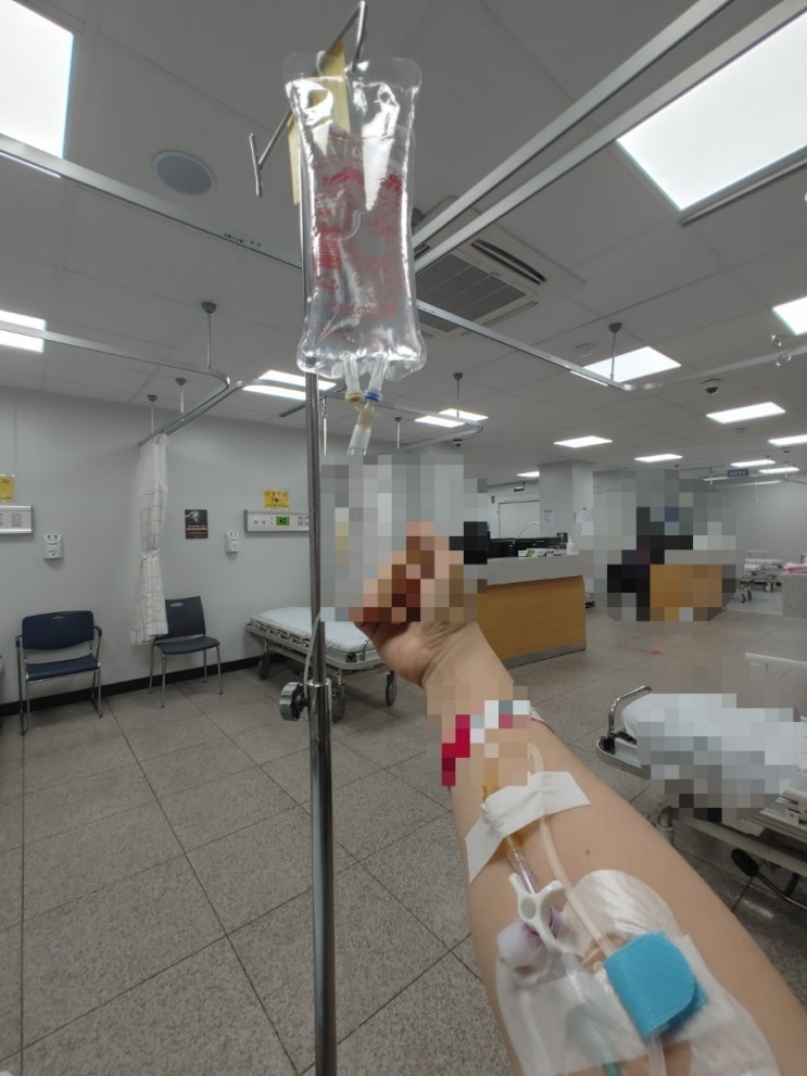  담석증, 담석 제거 수술 체험기.. 3일간의 찢어지는 통증과 진통제 골프.. 그리고 복강경으로 담석,담낭(쓸개) 제거 수술과 5일간의 병원 생활