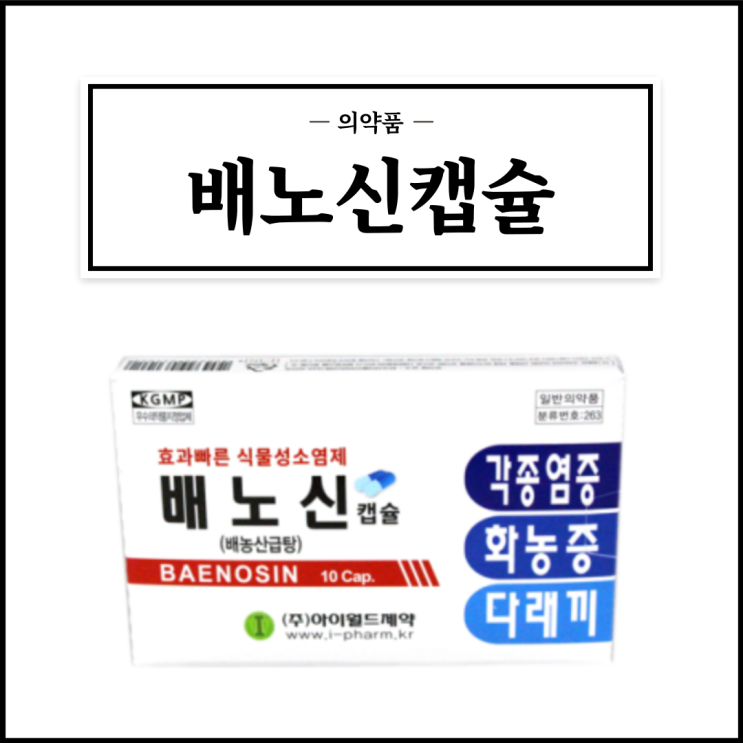  배노신(배노신캡슐), 효능효과/복용법/부작용/주의사항 등 간단정리