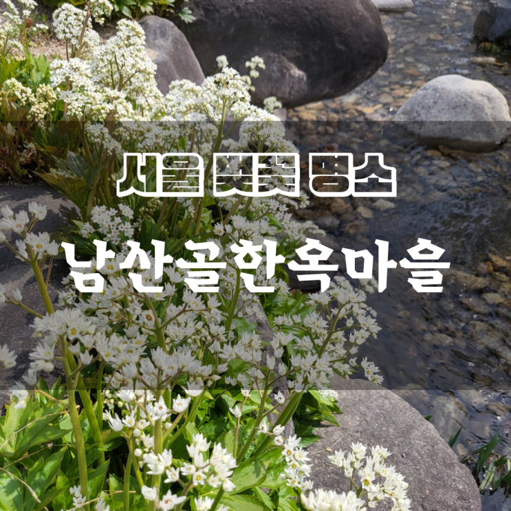  서울 벚꽃명소_남산골한옥마을_ 지금 그곳엔 벚꽃이 피었을까(2탄)