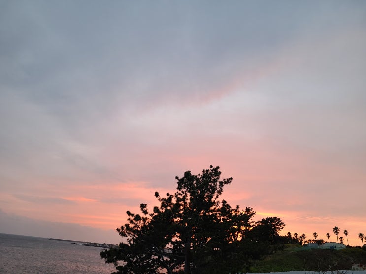  제주 서귀포 숨겨진 비경과 화장실 있는 시내권 한적한 차박 캠핑 장소