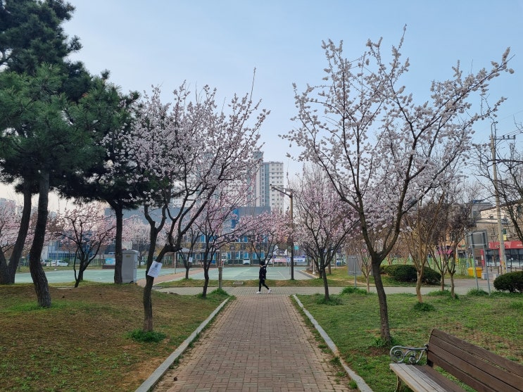 4월 첫째 주 일상 4월 첫째 주 일상