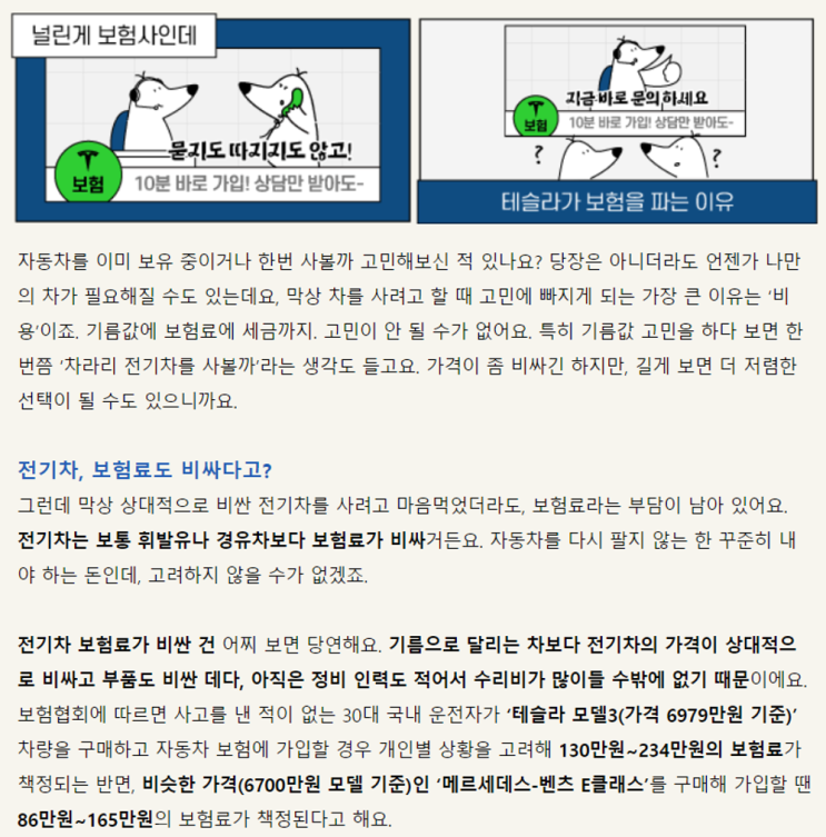  테슬라에서 보험을 파는 이유, 세컨더리보이콧 (쉬운 경제 dig)