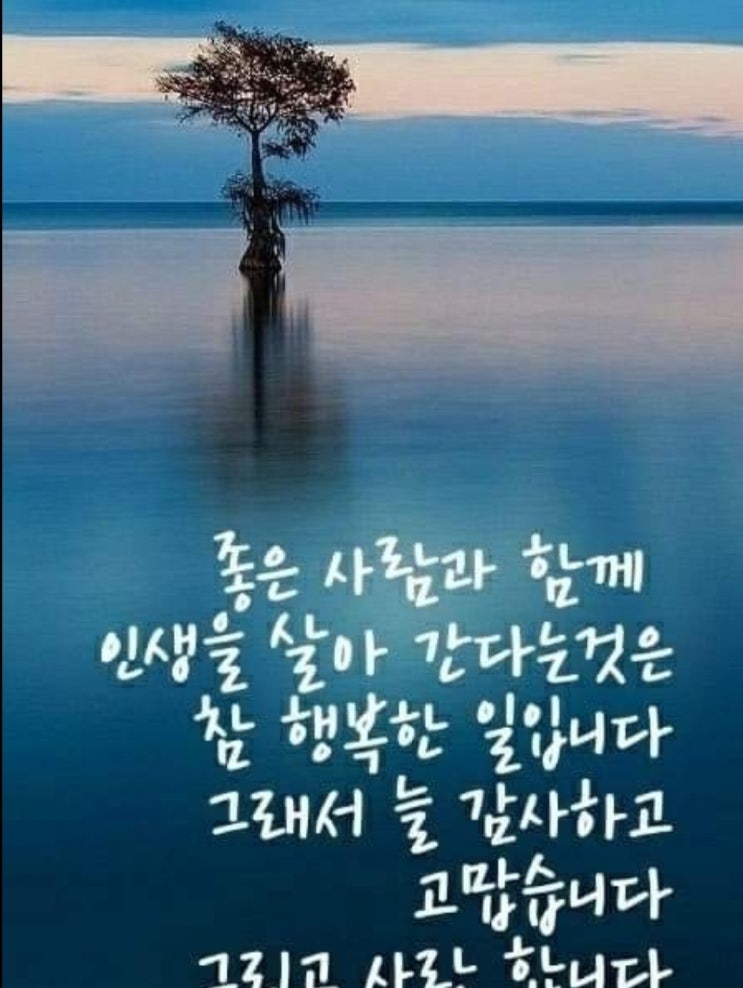 상황 <b>국민의힘</b> 지방선거 공관위원 9명 인선    - <b>공천관리</b>위원장... 