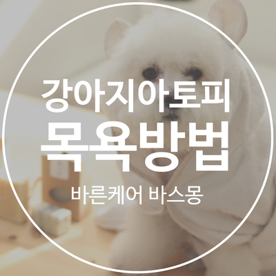  강아지 아토피 피부 목욕방법