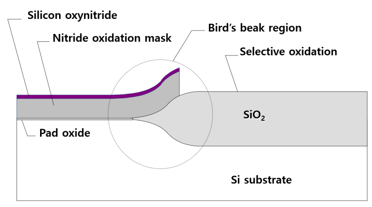 반도체 공정 19강(Selective oxidation & Bird's beak effect)