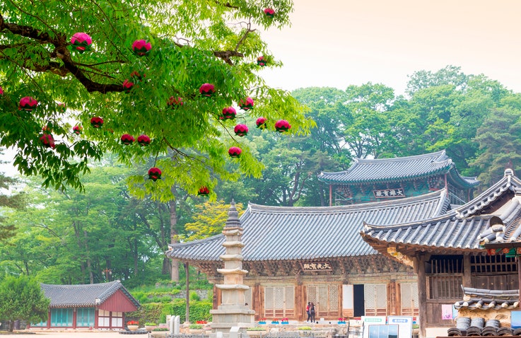  유네스코 세계문화유산, 아름다운 충남 공주 마곡사