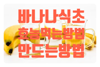  바나나식초 놀라운 효능 만드는방법 먹는방법 부작용