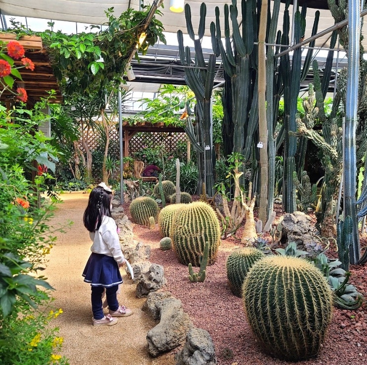 김해 대동 카페 알베로 대형 식물원과 야외정원