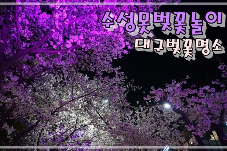  대구벚꽃명소 수성못 벚꽃놀이 다녀왔습니다.