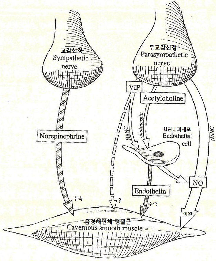  2022-04-05 [10일]