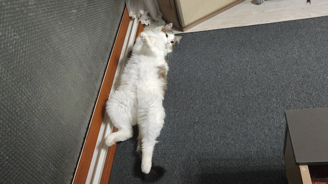 고양이 사료 간식 싸게 사는 방법 (하림펫푸드) 고양이 사료 간식 싸게 사는 방법 (하림펫푸드)