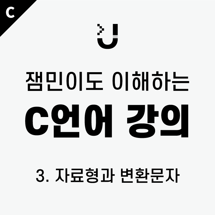  [잼민이도 이해하는 C언어 강의_3] 자료형 / #자료형, #변환문자