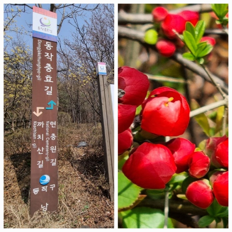  서울 동작구 걷기 좋은 길 동작충효길2코스(현충원길)