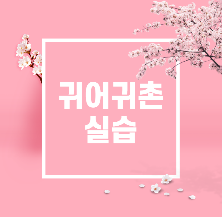  귀어일기 / 귀어실습기간 뭐 하고 있나요??