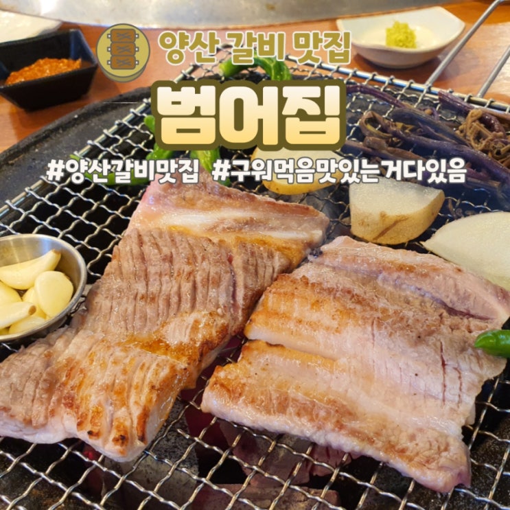  [양산 맛집] 생갈비 대박 맛집 범어집