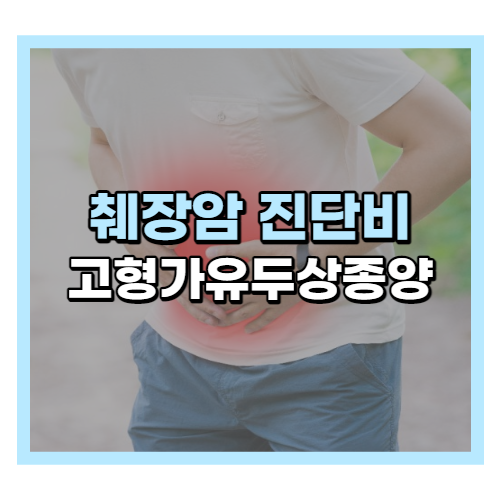  췌장암 진단비 분쟁 해결하려면 (고형가유두상종양)