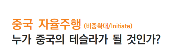  누가 중국의 테슬라가 될 것인가? 제2의 테슬라는?