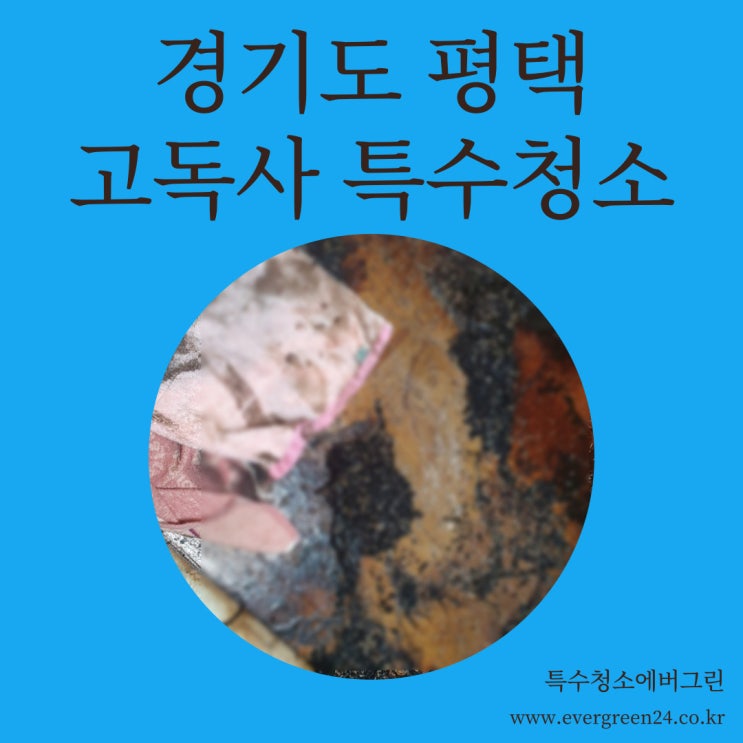 경기도 평택 고독사 -8평 원룸 특수청소