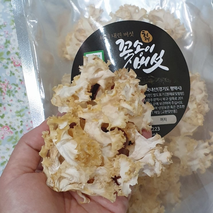 베타글루칸 효능 꽃송이버섯먹는법 간단해요
