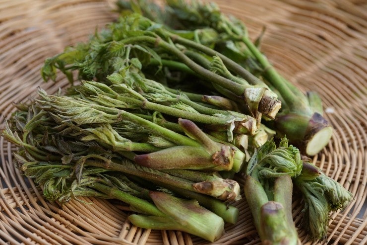 항암효과가 있는 사포닌이 풍부하여 당뇨병에 좋은 식품