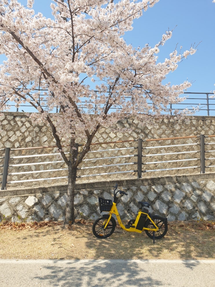  카카오 바이크 사용후기(전동자전거)(대구)(신천동쪽자전거길)(자전거풍경)(대구여행)(2일차)(1박2일여행)(내돈내산)