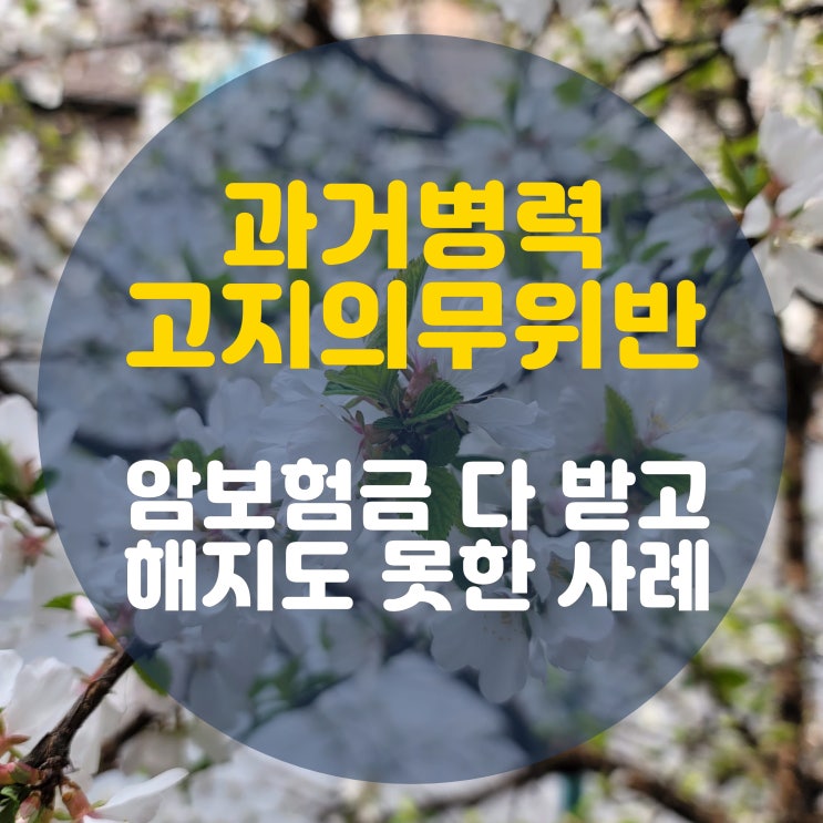  만성위염 고지의무위반, 보험해지 못하고 위암보험금 전액 지급한 사례