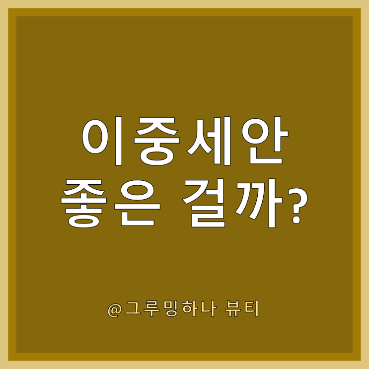  이중세안 논란 종결, 꼭 필요할까?