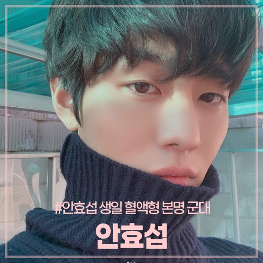 안효섭 군대 나이 키 본명 국적 출연드라마 고양이