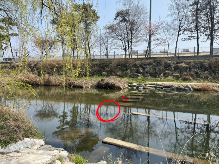 2022.04.06 산책