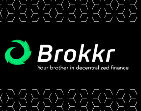  스타테라(StarTerra), Brokkr IDO 참여