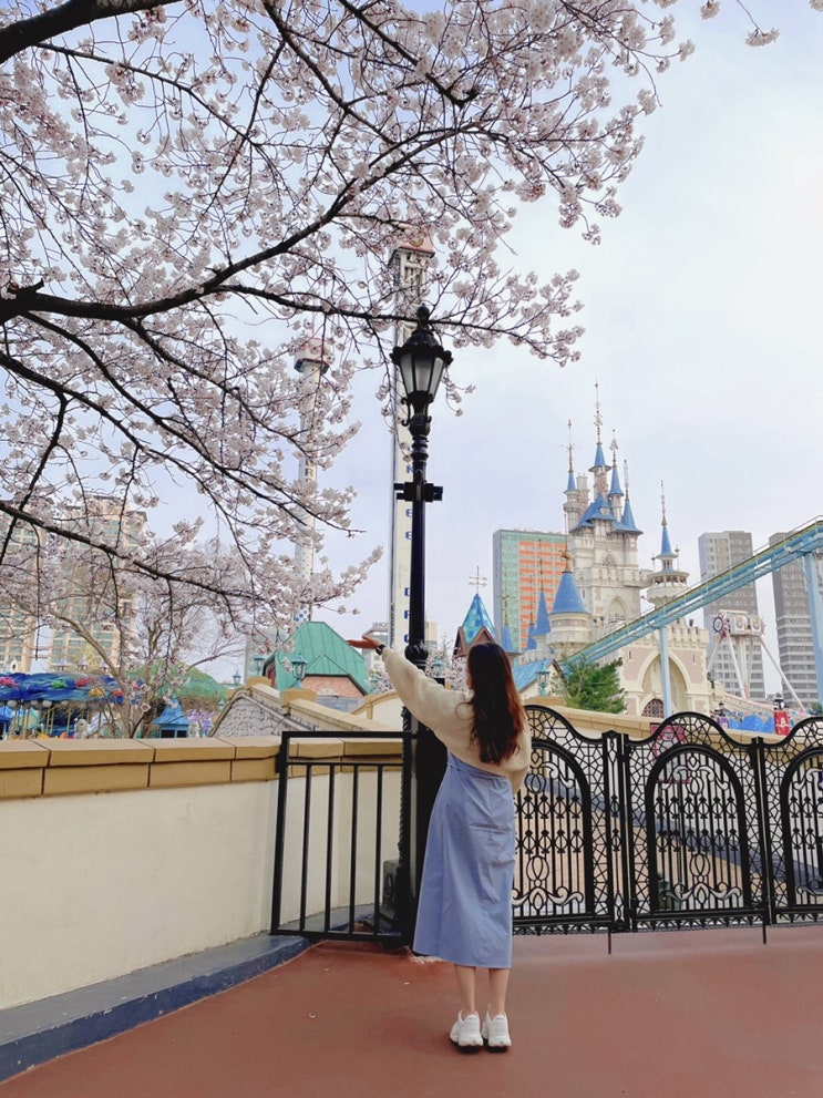 [석촌호수 벚꽃길] 송파 둘레길 벚꽃 나들이 축제 | 석촌호수 서호 벚꽃 개화 / 롯데타워 벨리곰 / 롯데타워 벚꽃 뷰 맛집 / 벚꽃 사진 아이폰 색보정 / 서울 벚꽃 개화 시기