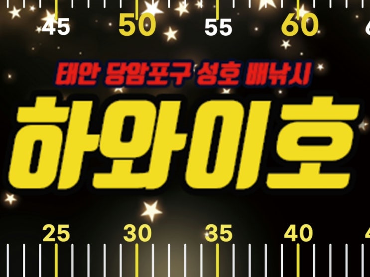  듀얼? 커스텀 낚시줄자 바다와 민물 겸용 낚시줄자 태안 하와이호