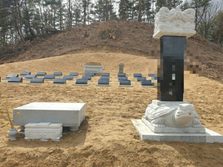  2022년 김천시 부항 종중묘 조성공사 축대 사각둘래석 비석 자판 부부장 와비 27구 귀부(거북비석) 잔디조성 2일차공사 김천장의사 #종중묘 #둘레석 #비석 #자판 #김천장의사