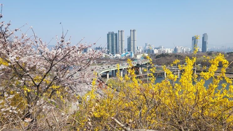  서울 걷기 좋은 길 ( 서울숲 남산길 8.4KM / 남산, 매봉산, 응봉산, 서울숲)