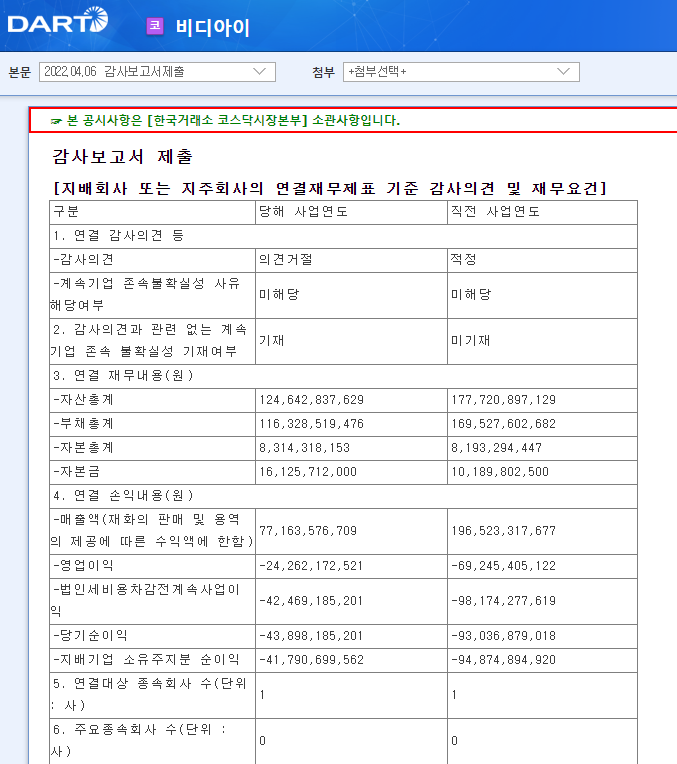 비디아이 / 감사보고서제출 비디아이 / 감사보고서제출