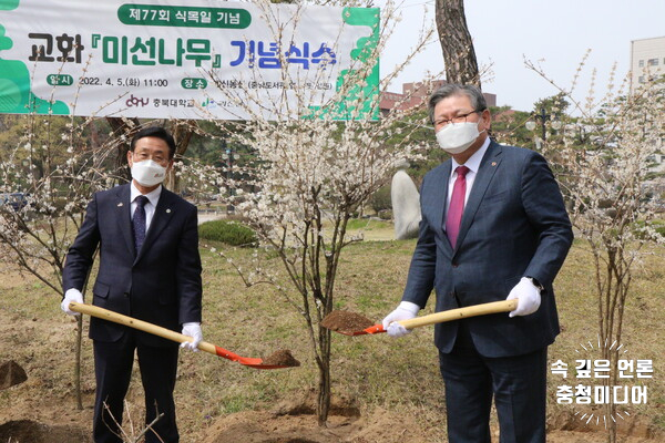  충북대 개신동산에 괴산군 기증 교화 미선나무 식재