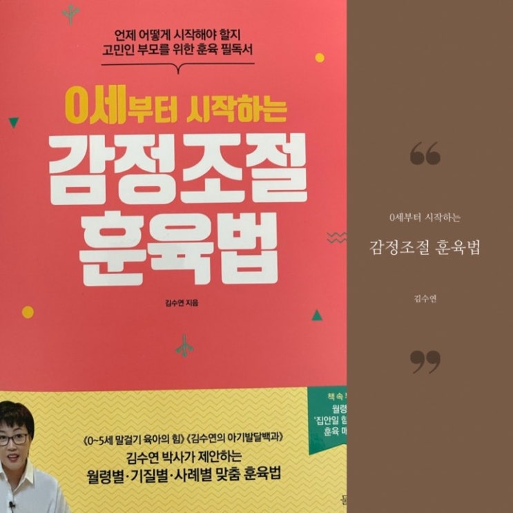  [훈육방식] 0세부터 시작하는 감정조절 훈육법