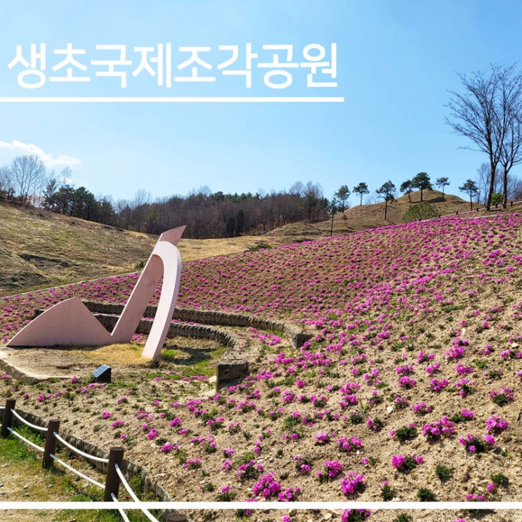 경남 산청 생초국제조각공원/산청 박물관 [가족 연인과 봄꽃 구경 가볼 만한 곳]