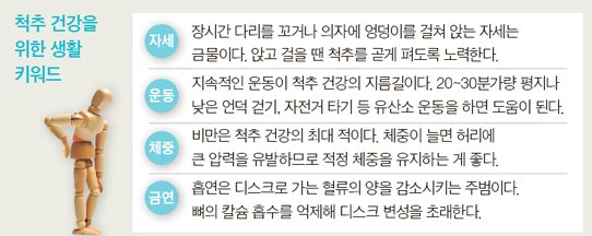  2. 허리 디스크의 치료 1편 – 디스크 치료에 대한 오해- [잠실척추전문]