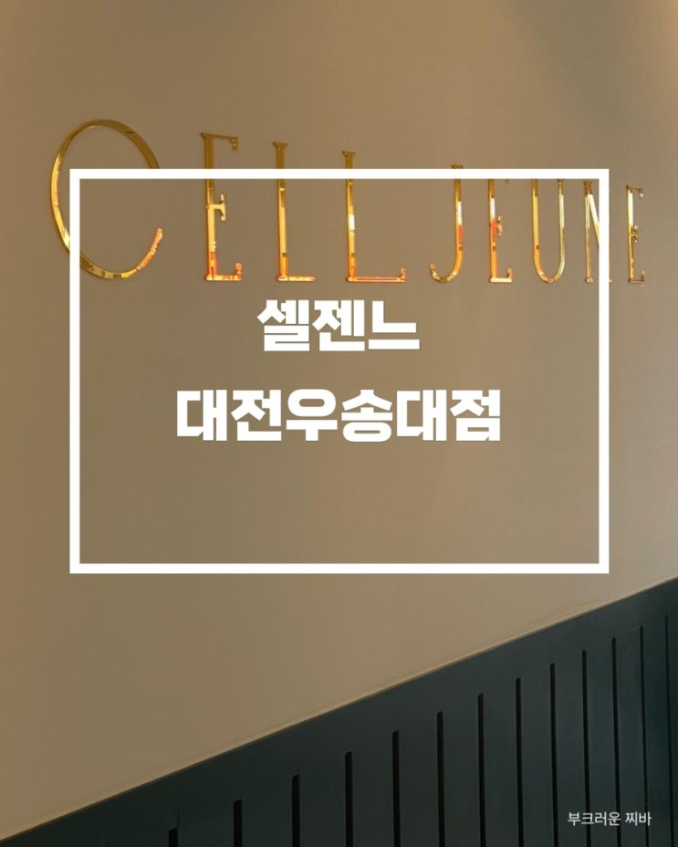  우송대 카페 셀젠느 대전우송대점 다녀왔음