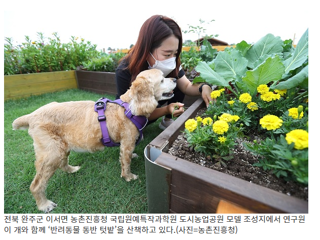 동물학대 제재 강화·맹견 사육허가제 도입(‘동물보호법’ 전부 개정안 국회 통과…반려동물행동지도사 국가자격도 신설) 동물학대 제재 강화·맹견 사육허가제 도입(‘동물보호법’ 전부 개정안 국회 통과…반려동물행동지도사 국가자격도 신설)