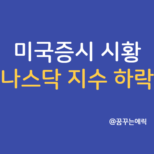  미국증시 마감시황 나스닥 지수 하락