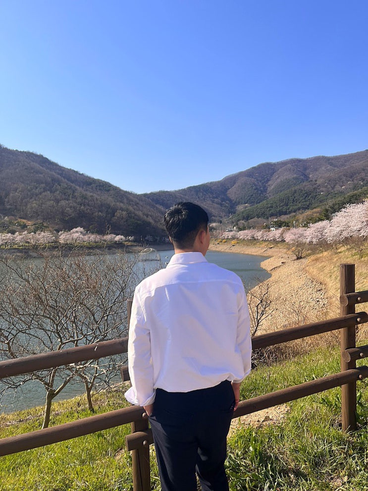  버버리 엠보싱 호스페리 프린트 코튼 옥스퍼드 셔츠 구매후기