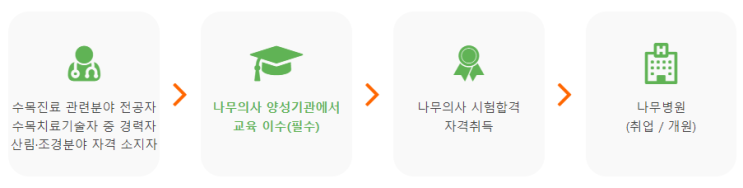  [직업소개 1탄] 전문직 나무의사 자격증 되는 방법, 응시자격, 시험구성, 시험일정, 취업, 전망 등 모든 것