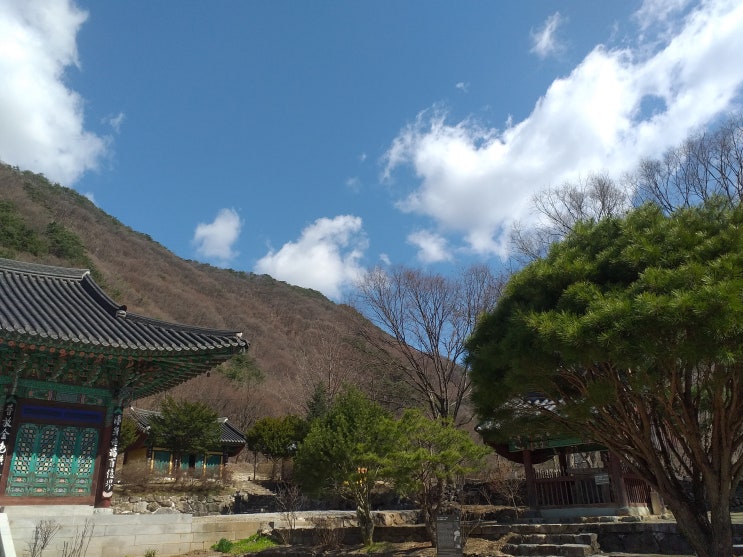 시원한 계곡을 즐길 수 있는 경기도 양평의 아름다운 사찰 - 사나사(舍那寺) 여행기 2편