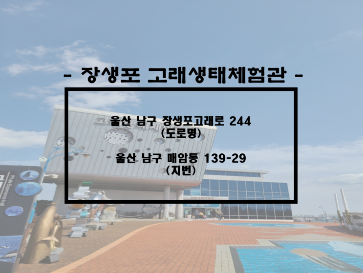  울산/남구 국내 여행지 추천, 울산 가볼만 한 곳, 울산 데이트 장소 추천, 울산 여행지 추천 장생포 고래생태체험관, 울산함