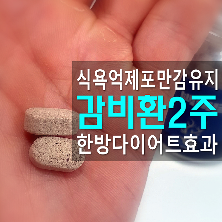  백록담한의원 감비환 부작용 및 효과에 대한 복용 2주 후기