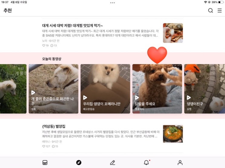  [일상] 우리집 강아지가 오늘의 동영상에 등장했다?!