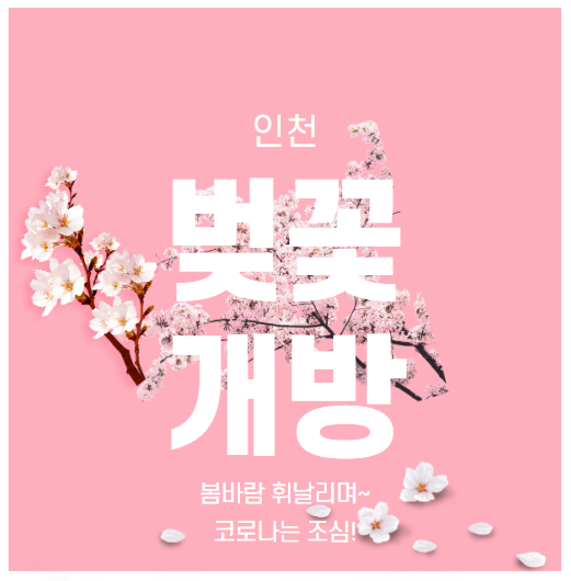 인천 벚꽃 명소들 개방. 인천대공원, 월미공원, 수봉공원 등